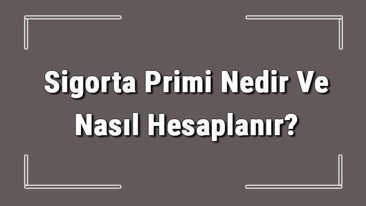 Sigorta Primi Nedir Ve Nasıl Hesaplanır Sigorta Primi Hesaplama Hakkında Bilgi