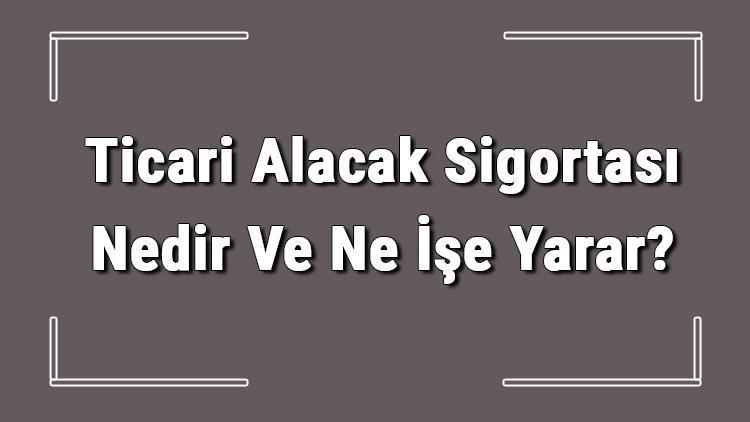 Ticari Alacak Sigortası Nedir Ve Ne İşe Yarar Ticari Alacak Sigortası Şartları Hakkında Bilgi