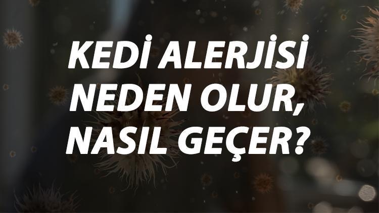 Kedi Alerjisi Nedir, Neden Olur Ve Nasıl Geçer Kedi Tüyü Alerjisi Belirtileri Ve Tedavisi Hakkında Bilgi