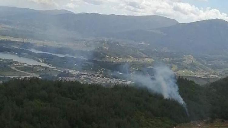 İzmirde orman yangını