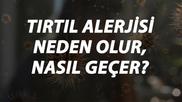 Tırtıl Alerjisi Nedir, Neden Olur Ve Nasıl Geçer Tırtıl Alerjisi Belirtileri Ve Tedavisi Hakkında Bilgi