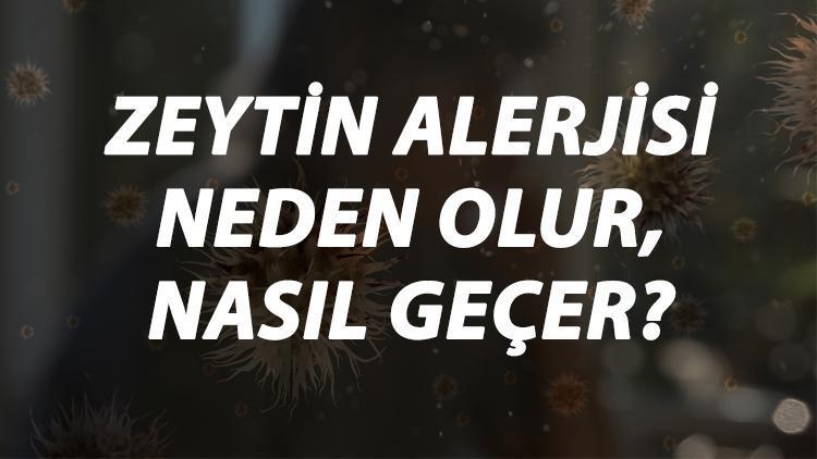 Zeytin Alerjisi Nedir, Neden Olur Ve Nasıl Geçer Zeytin Alerjisi Belirtileri Ve Tedavisi Hakkında Bilgi