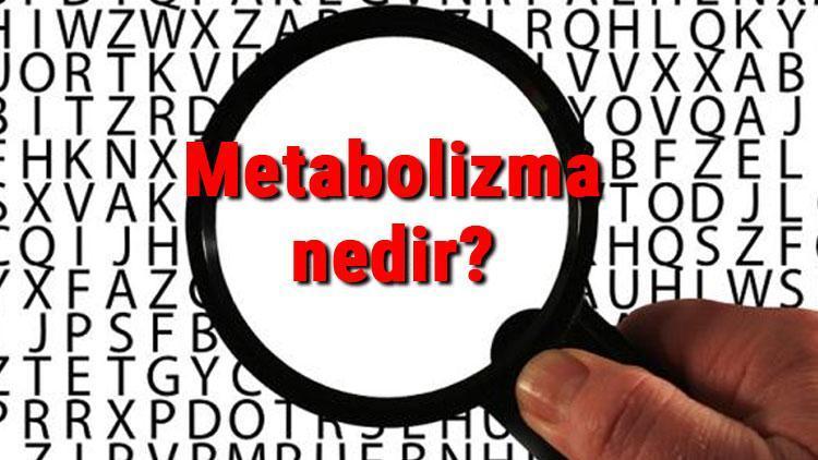 Metabolizma nedir ve kaça ayrılır Metabolizma nasıl çalışır