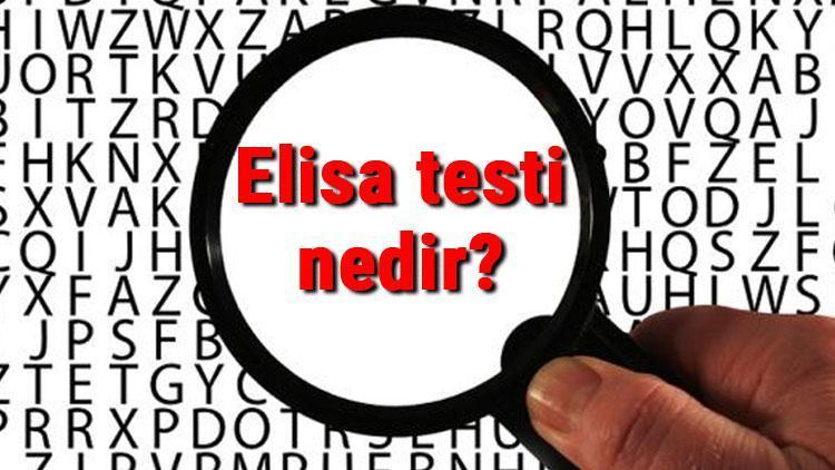 Elisa testi nedir ve ne işe yarar Elisa testi nasıl yapılır