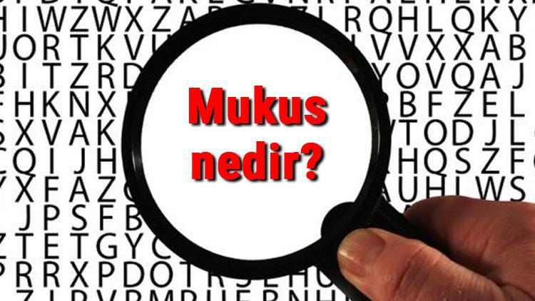 Mukus nedir ve neden oluşur