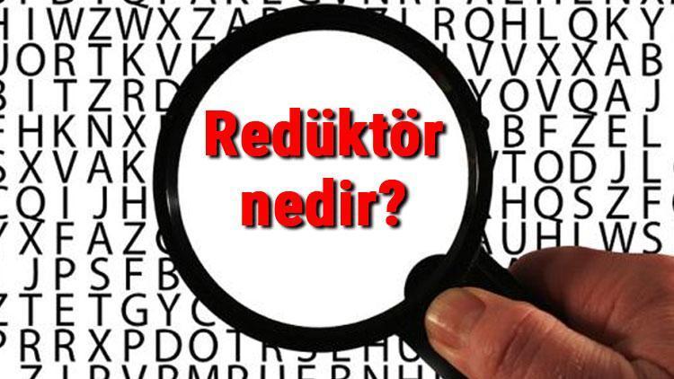 Redüktör nedir ve ne işe yarar Redüktör nasıl çalışır