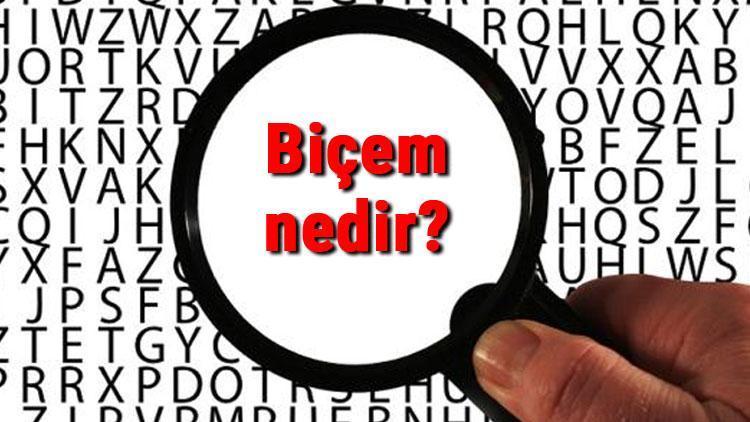 Biçem nedir Biçem örnek cümleler