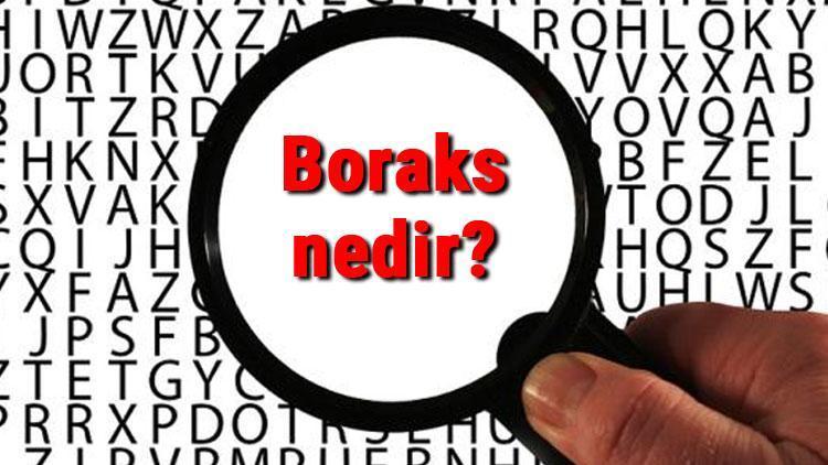 Boraks nedir ve ne işe yarar Boraks faydaları ve zararları