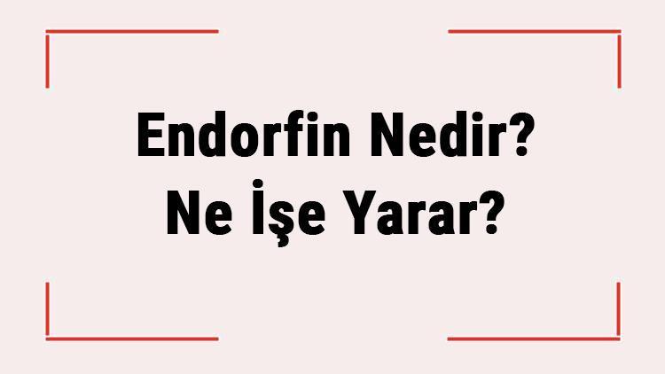 Endorfin Nedir Ne İşe Yarar Endorfin Hormonu Nasıl Artar