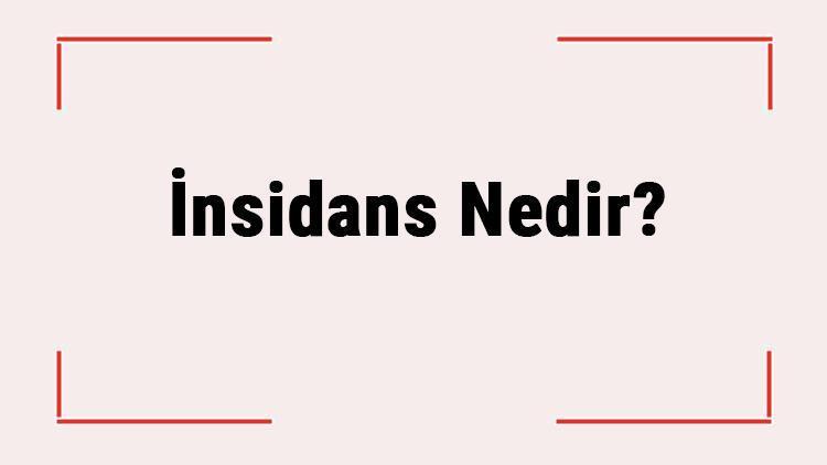 İnsidans Nedir İnsidans Hesaplama Nasıl Yapılır İnsidans Hızı Formülü