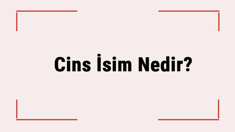 Cins İsim Nedir Özel İsimden Farkı Nedir Türkçede Kullanılan Cins İsim Örnekleri