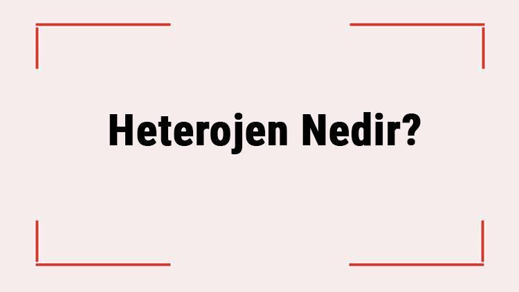 Heterojen Nedir Heterojen Karışım Ne Demek Hetorojen Karışım Örnekleri