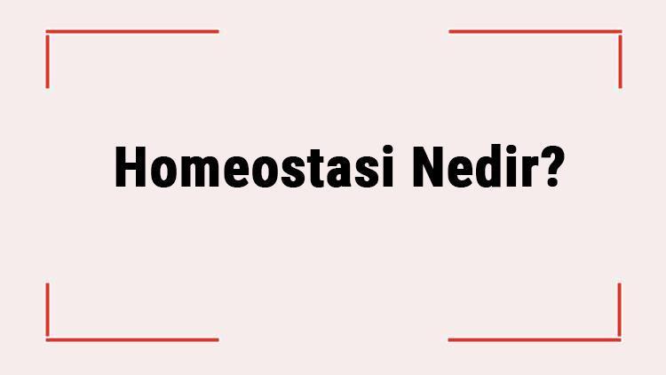 Homeostasi Nedir Canlılarda Ortak Özellik Midir Homeostasi Hakkında Örnekler Ve Bilgiler