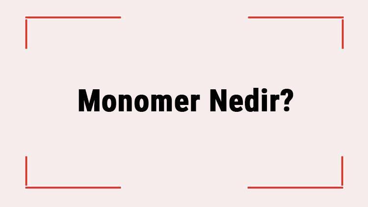 Monomer Nedir Monomer Yapılı Ne Demek Monomer Çeşitleri Ne Özellikleri Nelerdir