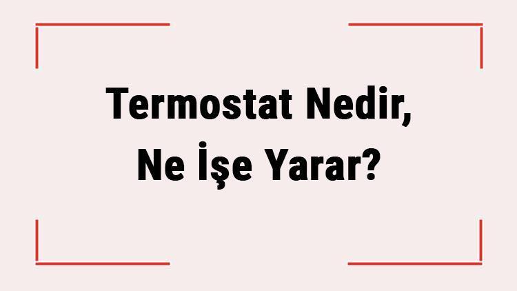 Termostat Nedir, Ne İşe Yarar Termostat Nasıl Çalışır, Çeşitleri Nelerdir