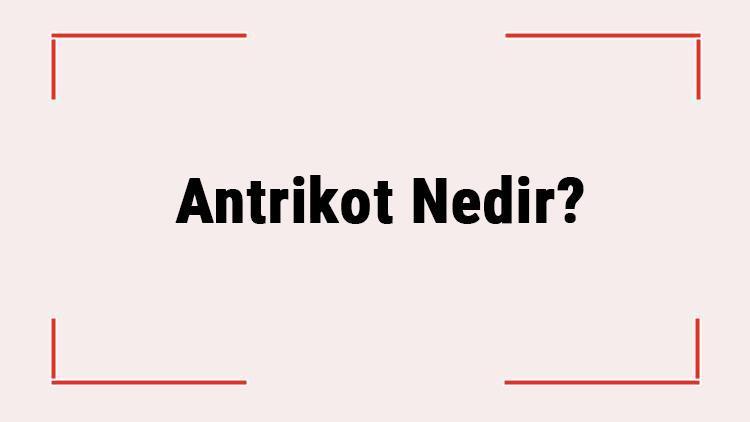 Antrikot Nedir Neden Sert Olur Antrikot Nereden Çıkar