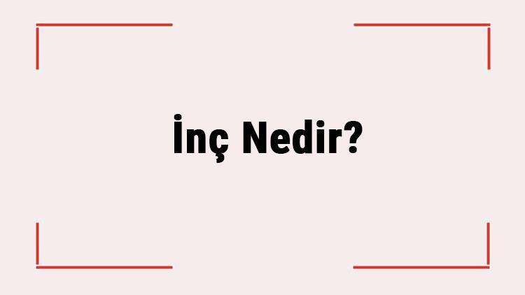 İnç Nedir İnç Ne Birimidir Neye Göre Hesaplanır