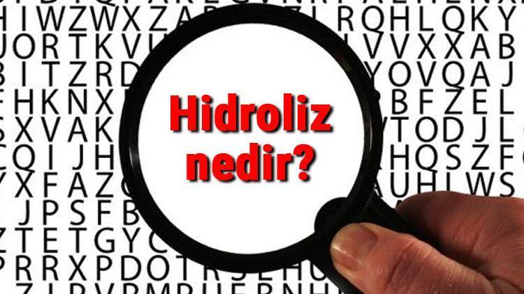 Hidroliz nedir ve nasıl gerçekleşir Hidroliz örnekleri konu anlatımı