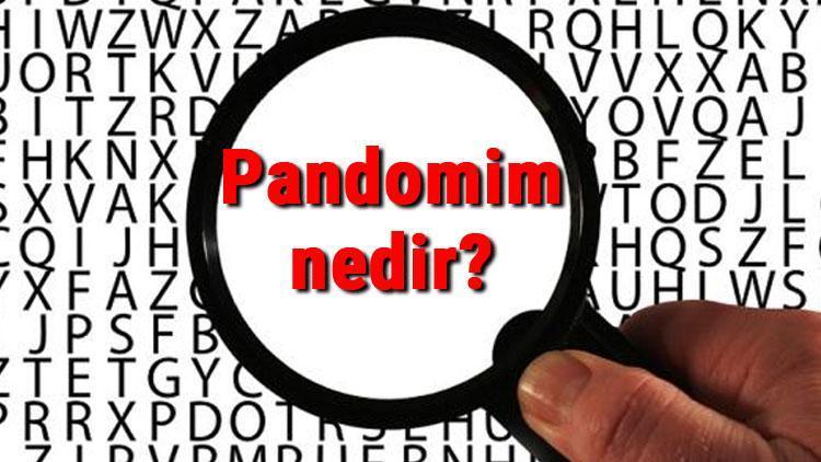 Pandomim nedir ve nasıl yapılır