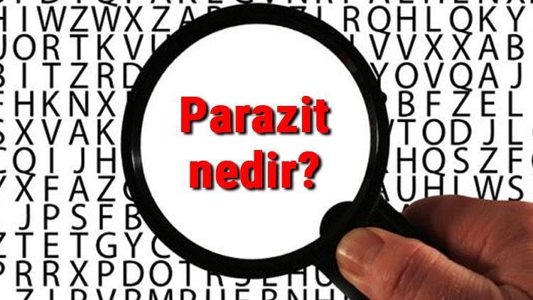 Parazit nedir Biyolojide parazit tanımı ve özellikleri