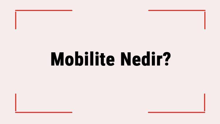 Mobilite Nedir İş Dünyasında Mobilite Ne Anlama Gelir