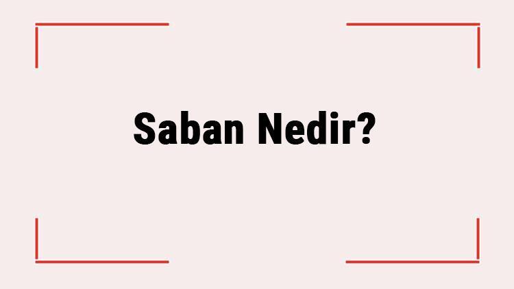 Saban Nedir Saban Ne Zaman Bulundu Saban Neyden Yapılır