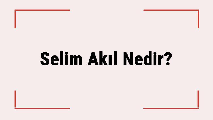 Selim Akıl Nedir Akl-I Selim Ne Demek