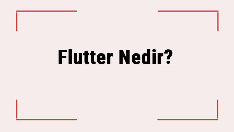 Flutter Nedir Neden Flutter Öğrenmek Gerekir Flutterin Tüm Özellikleri