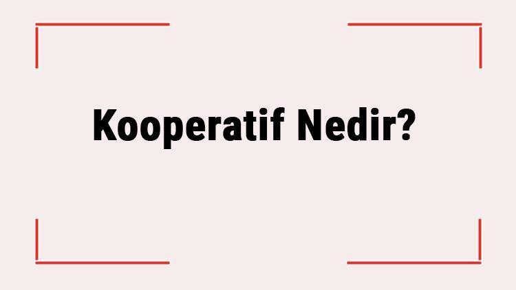 Kooperatif Nedir Kooperatif Türleri Nelerdir Nasıl Kurulur