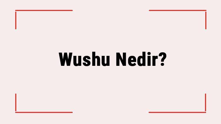 Wushu Nedir Wushu Ne Kadar Sürede Öğrenilir Wushu Sporu Kuralları