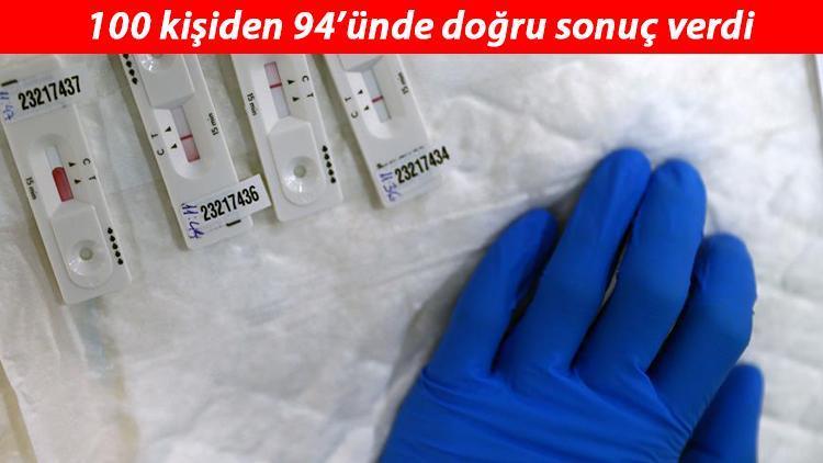 İngiltere ve Taylandda uygulanmaya başladı... Köpekler koronavirüsü koklayarak buluyorlar