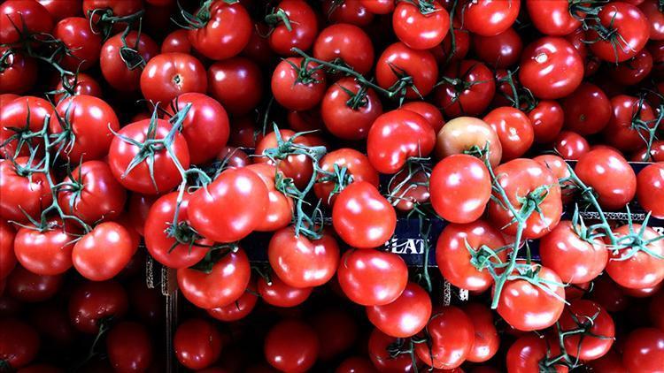 Rusya Türkiyeden domates ithalat kotasını artırdı