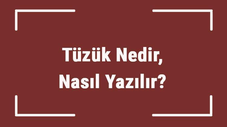 Tüzük Nedir, Nasıl Yazılır Tdkya Göre Tüzük Kelimesi Ne Anlama Gelir Tüzük Sözlük Anlamı