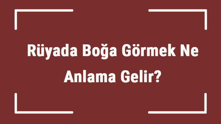 Rüyada Boğa Görmek Ne Anlama Gelir Rüyada Boğa Kovalaması Ve Saldırması Tabiri