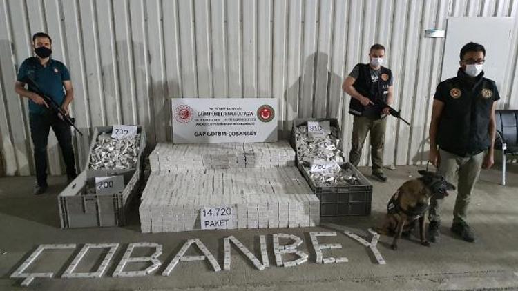 Kiliste, 14 bin 720 paket kaçak sigara yakalandı