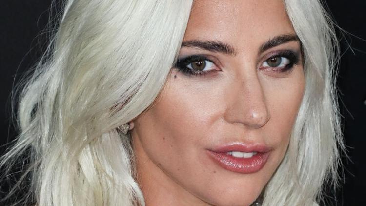 Lady Gaga turnesini yine erteledi