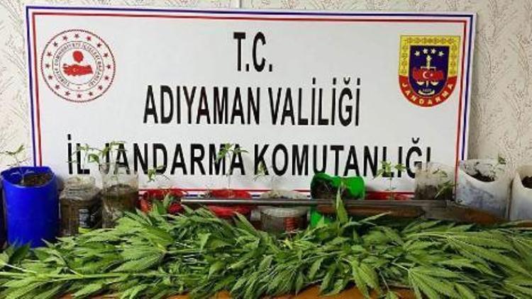 Adıyaman’da uyuşturucu operasyonu