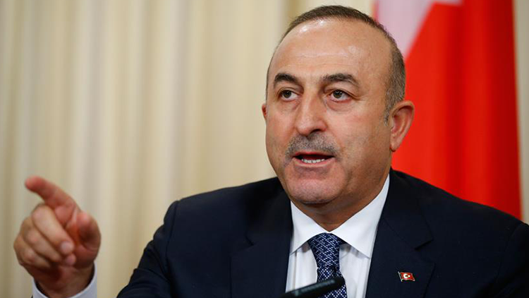 Bakan Çavuşoğlu, Norveçli mevkidaşı ile görüştü