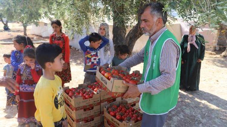 İHH Suriyede 22 ton domates dağıttı