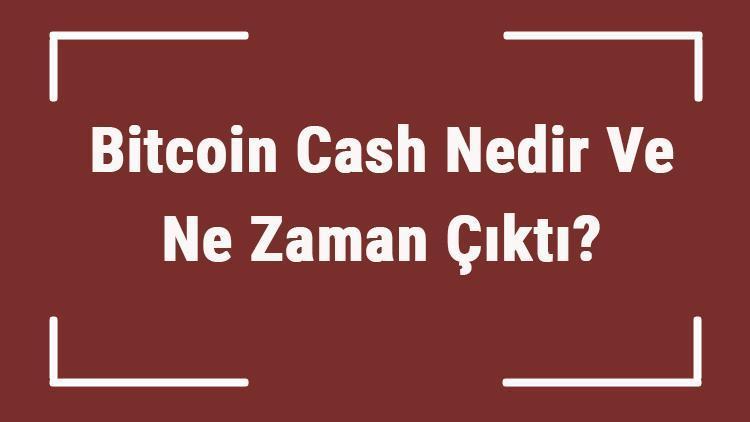 Bitcoin Cash Nedir Ve Ne Zaman Çıktı Bch Ne Demek Kripto Para Bitcoin Cash Coin Nasıl Alınır