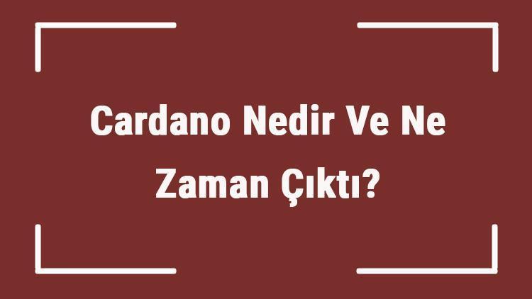 Cardano Nedir Ve Ne Zaman Çıktı Ada Ne Demek Kripto Para Cardano Coin Nasıl Alınır