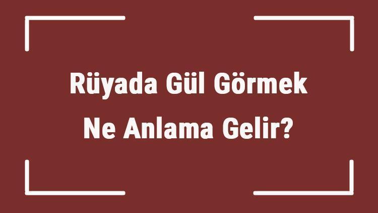 Rüyada Gül Görmek Ne Anlama Gelir? Rüyada Kırmızı, Beyaz Ve Pembe Gül Görmek Tabiri