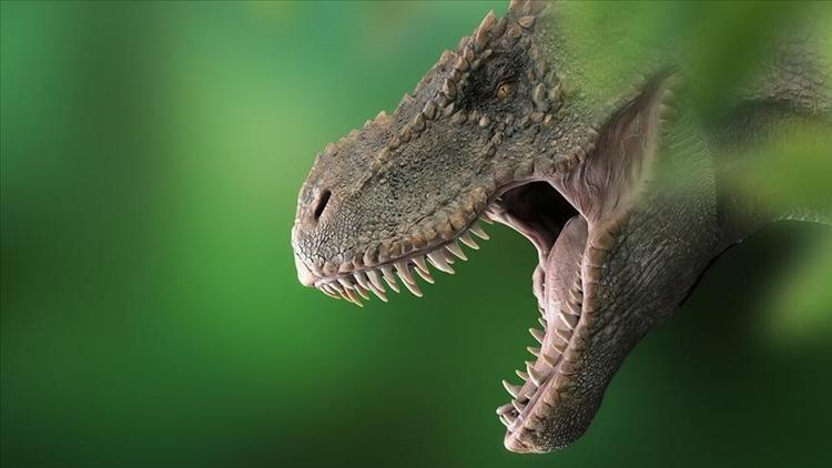 Bilim insanları, Avustralyanın en büyük dinozor türünü keşfetti