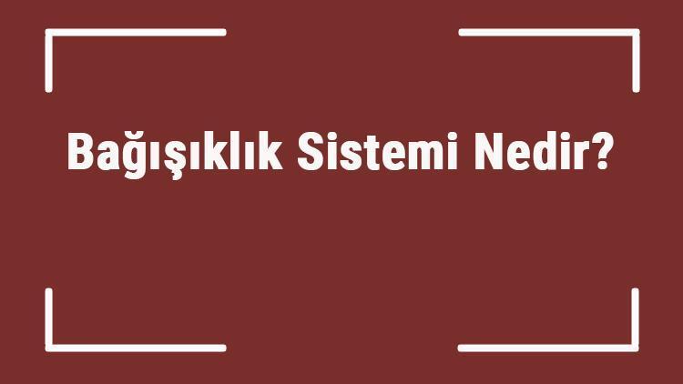 Bağışıklık Sistemi Nedir Bağışıklık Sistemi Neden Zayıflar, Nasıl Güçlendirilir