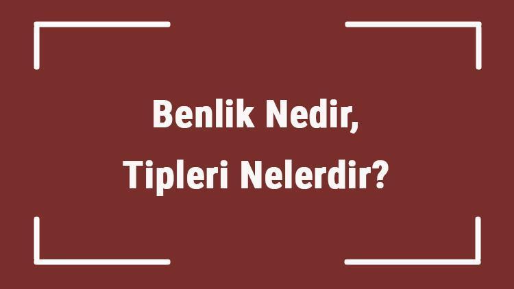 Benlik Nedir, Tipleri Nelerdir Benlik Kavramı Ne Zaman Oluşur