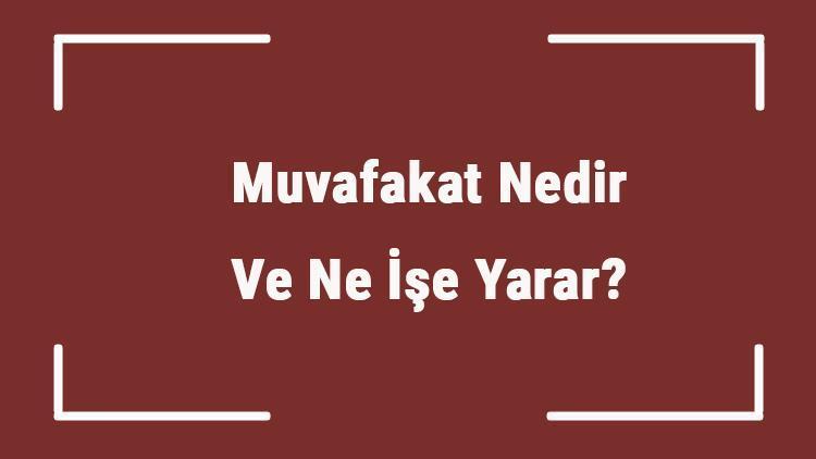 Muvafakat Nedir Ve Ne İşe Yarar Muvafakat Belgesi Nasıl Alınır