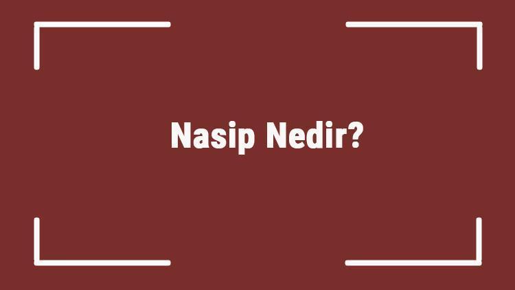 Nasip Nedir Tdkya Göre Nasip Etmek Kelimesi Ne Demek Nasip Sözlük Anlamı