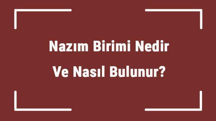 Nazım Birimi Nedir Ve Nasıl Bulunur Nazım Birimi Örnekleri Ve Özellikleri