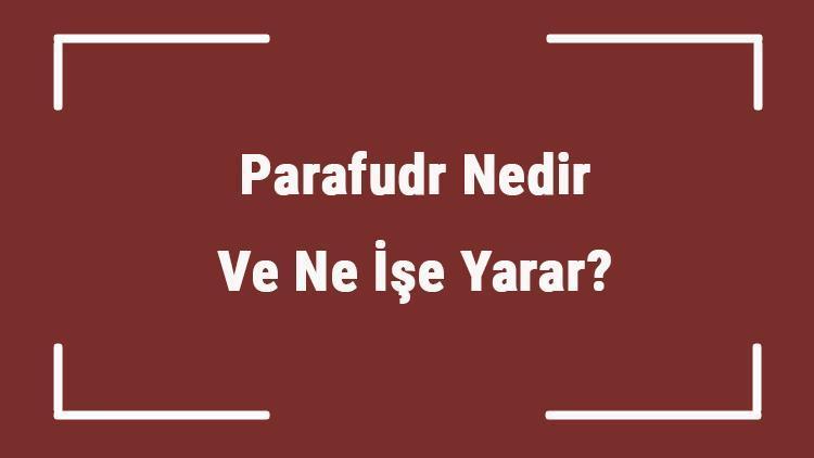 Parafudr Nedir Ve Ne İşe Yarar Parafudr Çeşitleri Ve Çalışma Prensibi Hakkında Bilgi