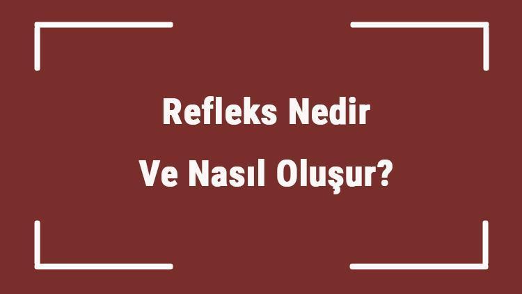 Refleks Nedir Ve Nasıl Oluşur Refleks Kaça Ayrılır Ve Vücudun Refleks Merkezi Neresidir